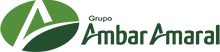 Grupo Ambar Amaral - Santa Fé do Sul